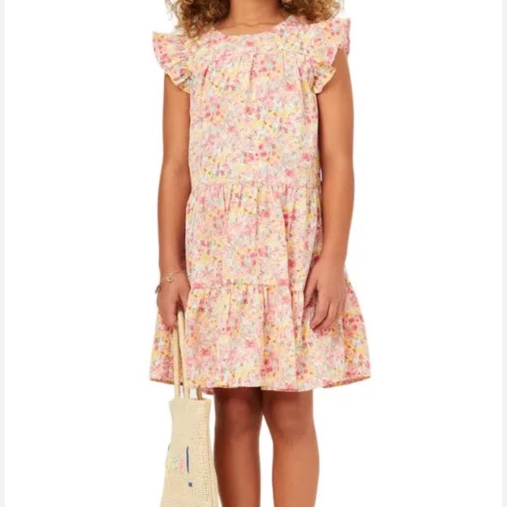 Hayden Girls Pink Floral Ruffle Sleeve Dress